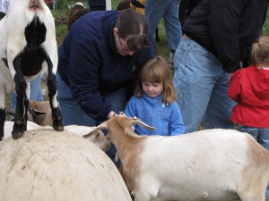 IMG_4765 IMG_4765
