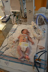 DSC_0584