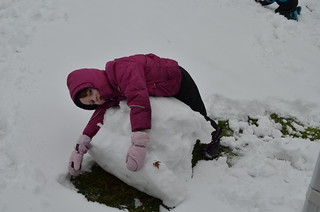 20130106_151628_DSC_0069