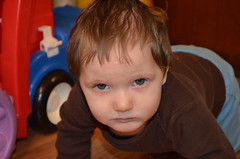 20130111_115136_DSC_0259