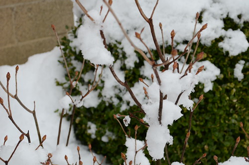 20130306_122911_DSC_0042