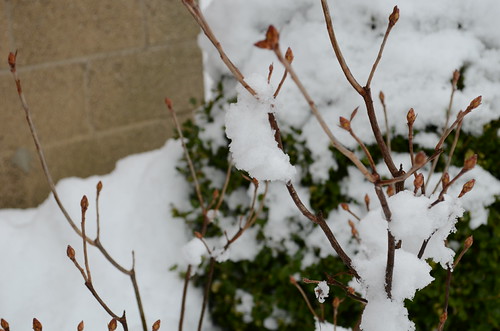 20130306_122908_DSC_0041