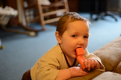 20130314_113720_DSC_0167